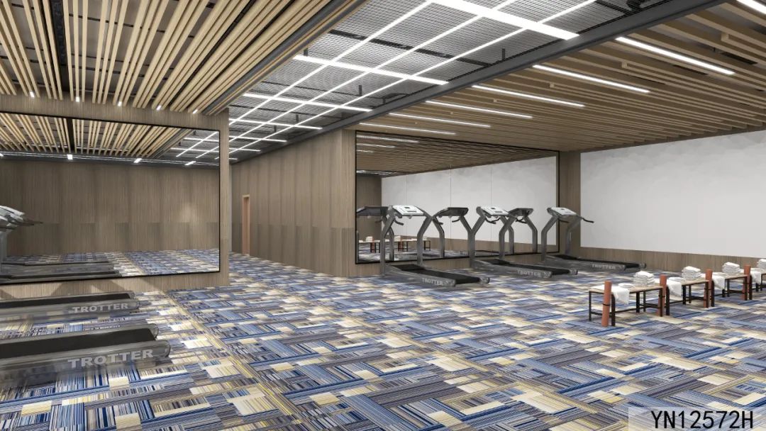  Axminster Carpet for Gym