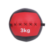 PVC Wall Ball