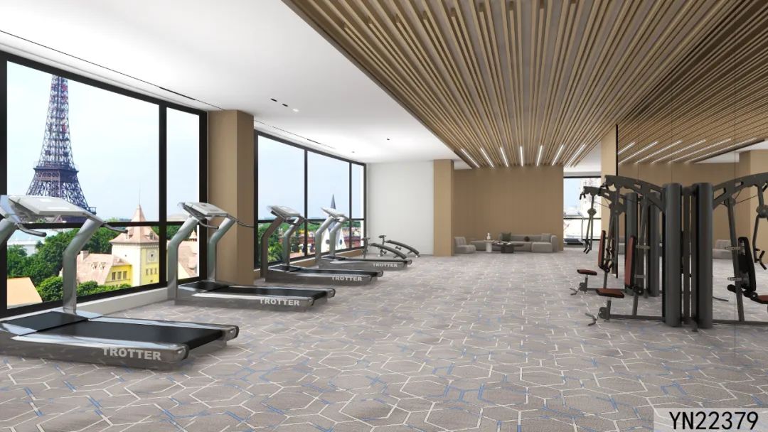  Axminster Carpet for Gym