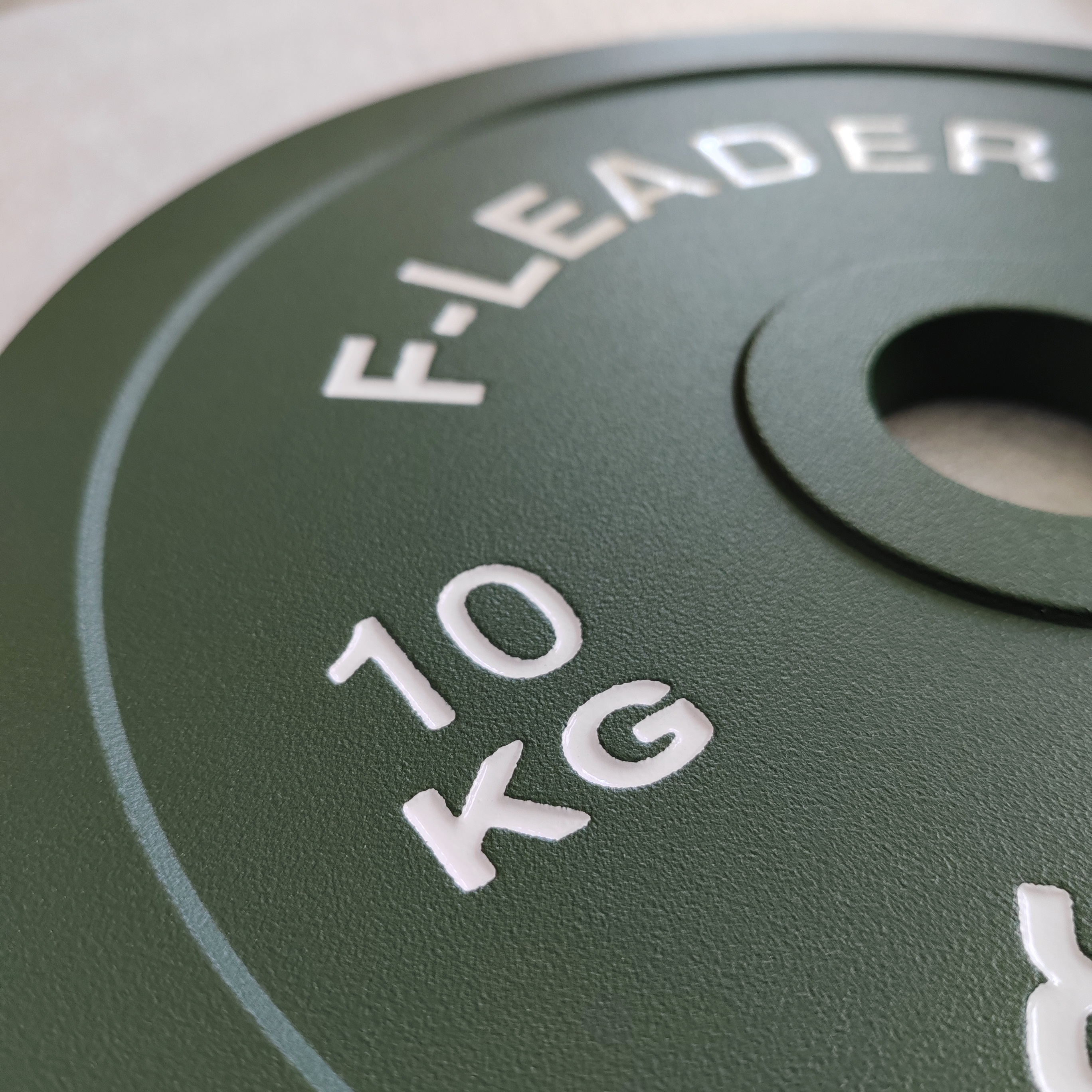 F-Leader Steel Plate (6)
