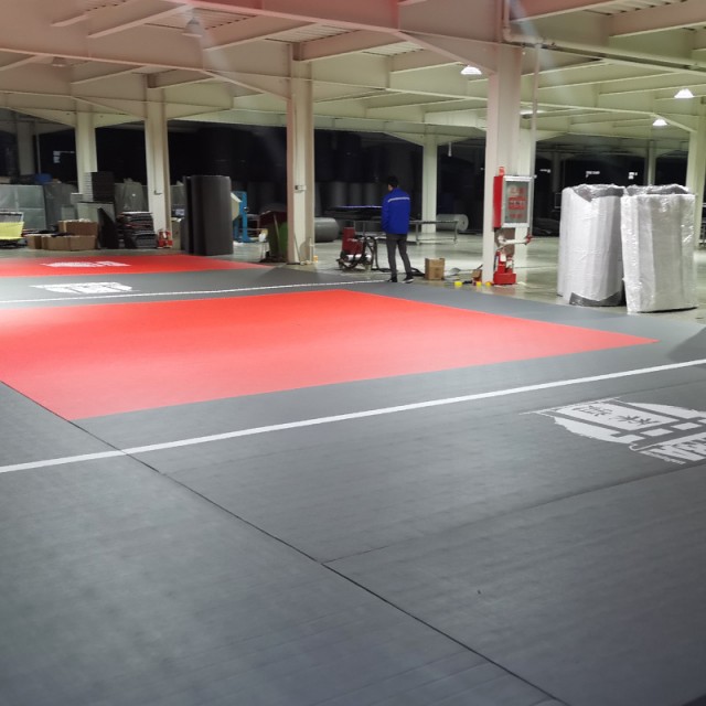 XPE Foam Roll Mat for Taekwondo Judo Kendo Karate Boxing Wrestling Jigsaw Martial Arts Gym Use