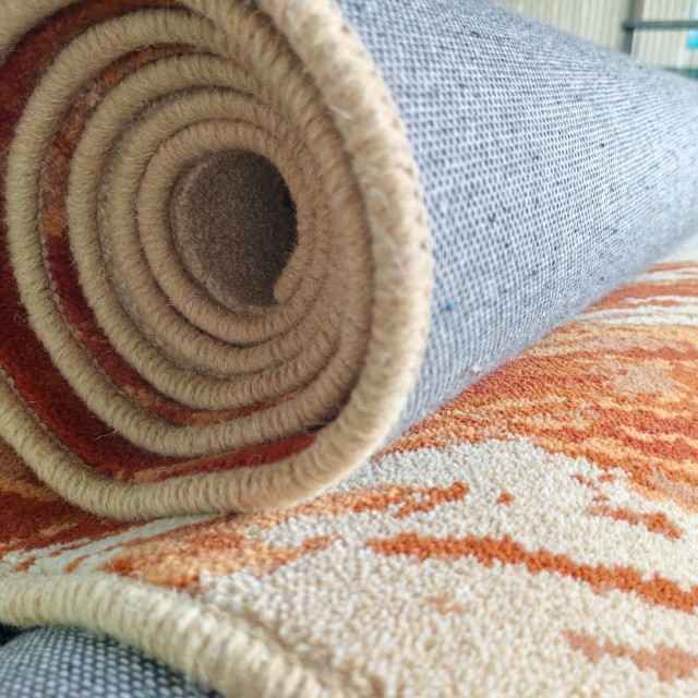 Aximster Area Rug for Home Living Room Hotel Guestroom