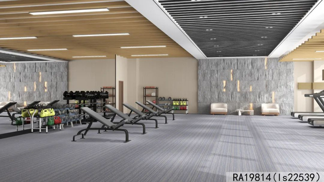  Axminster Carpet for Gym