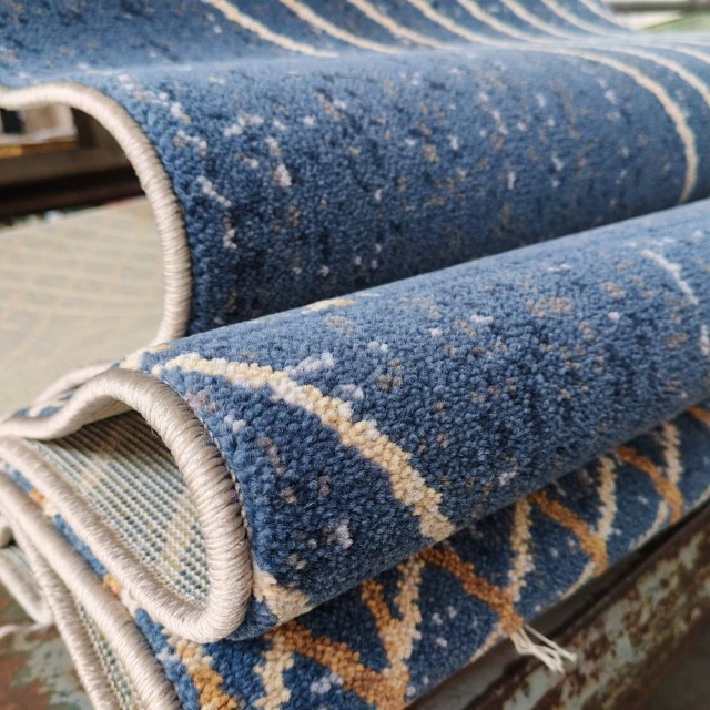 Aximster Area Rug for Home Living Room Hotel Guestroom