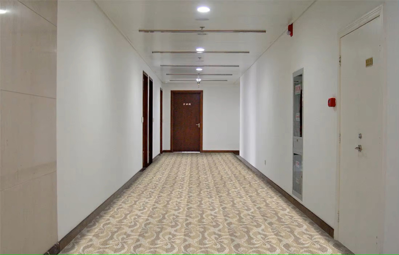 Tufted Carpet