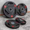 Trip-grip Weight Plate
