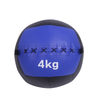PVC Wall Ball