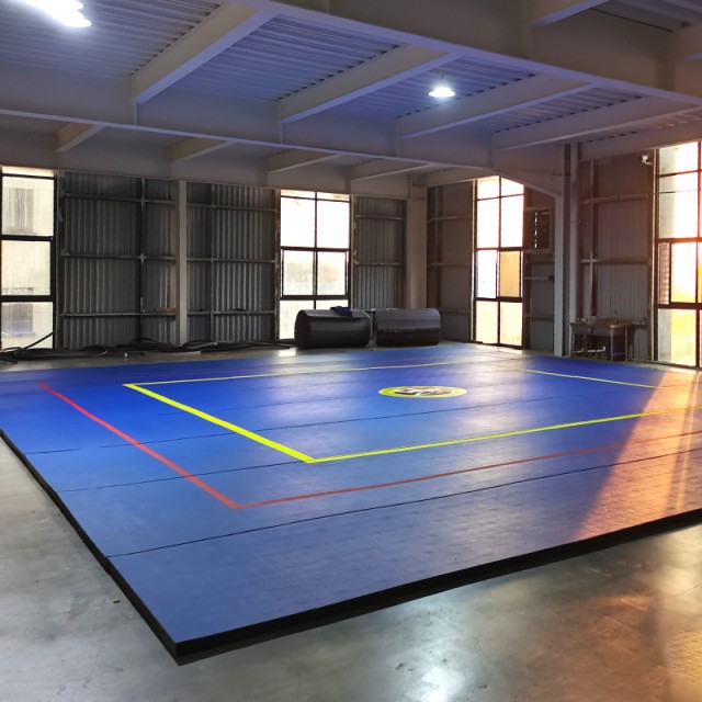 XPE Foam Roll Mat for Taekwondo Judo Kendo Karate Boxing Wrestling Jigsaw Martial Arts Gym Use
